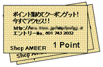 カードサンプル
